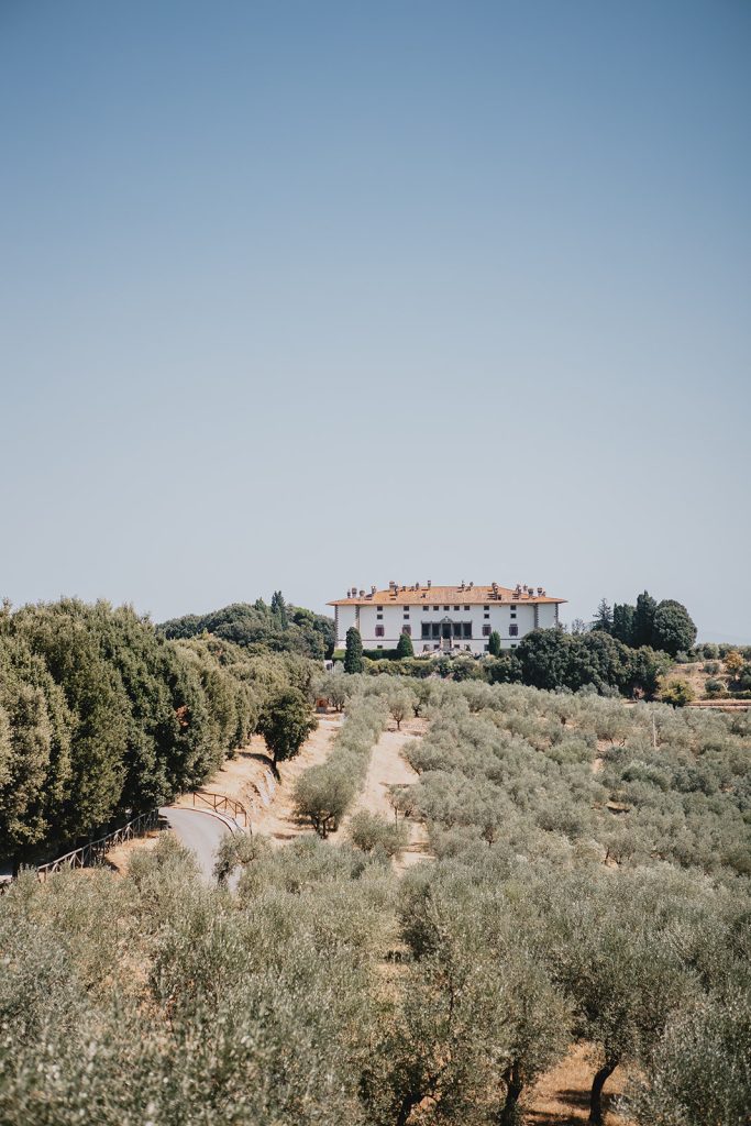 A large white villa with a terracotta roof stands in the distance at Tenuta di Artimino, surrounded by rows of olive trees and lush greenery under a clear blue sky.